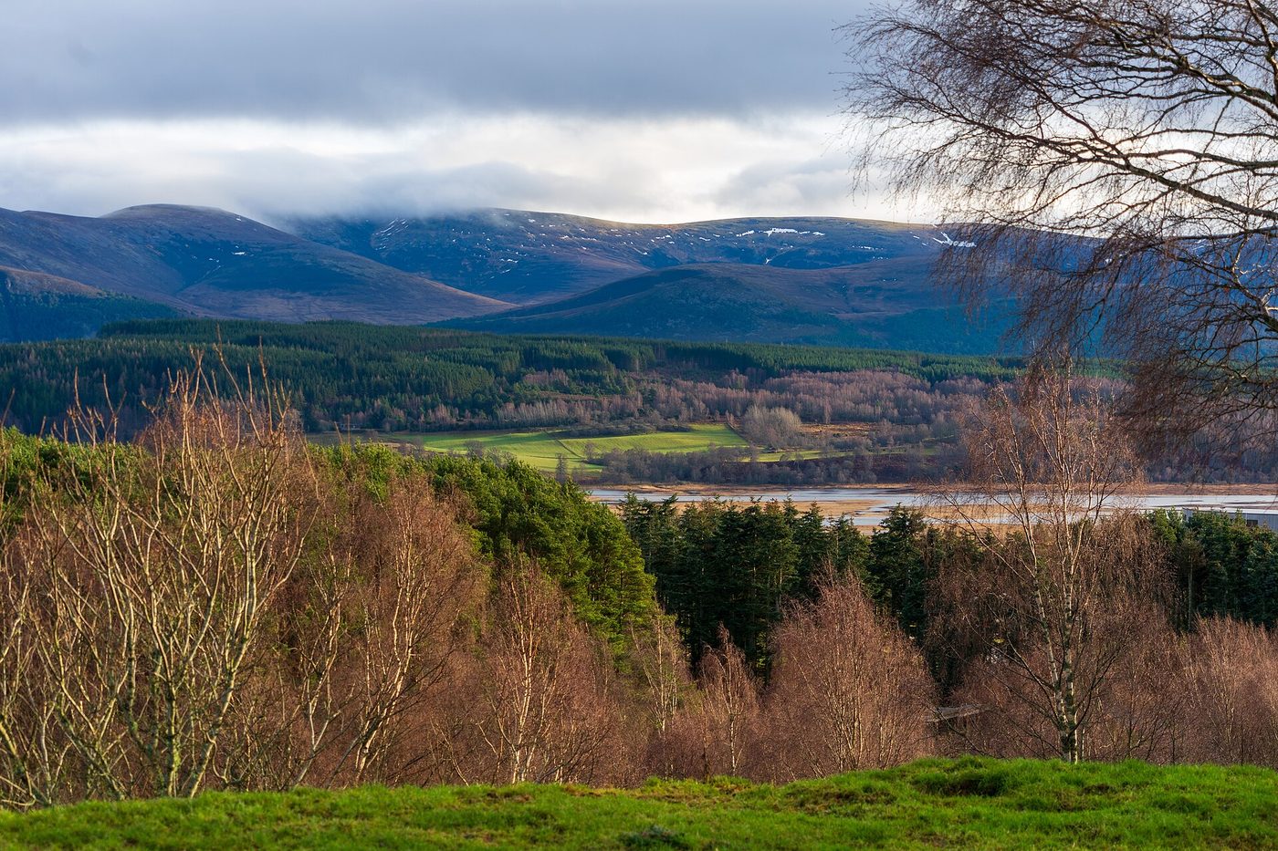 The forested Cairngorms National Park landscape in December with snow-dusted Highland ridges and Scots pine forest below
